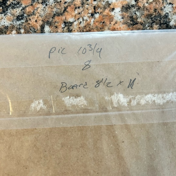 Sugar Skull Art Print - Picture 3 of 4